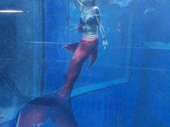 -太平洋海底世界