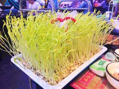 -老表记广西宵夜螺蛳鸭脚煲(西大店)