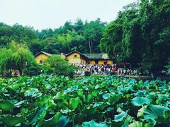 景点-韶山毛泽东同志故居