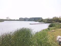 -上海海事大学(临港校区)