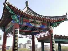 -莲花池公园