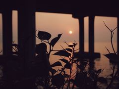 -宝安西湾红树林湿地公园