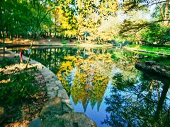 -上海共青森林公园