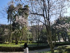 -重庆彩云湖湿地公园
