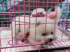 -上品折扣(回龙观店)