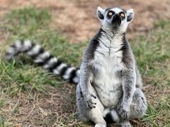 -济南野生动物世界