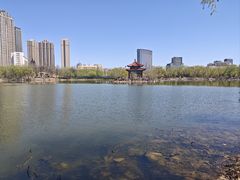 -青城公园