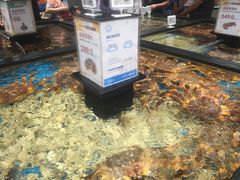 -盒马鲜生(皇庭广场店)