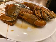-凯菲厅海鲜姿造·海鲜自助·帝王蟹·龙虾(成都群光君悦酒店)