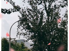 -中国人民解放军总医院(301医院)