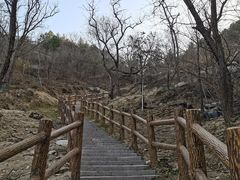 -白水寺森林公园