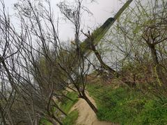 -瑶湖郊野森林公园
