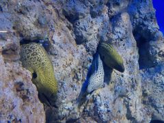 -福州罗源湾海洋世界旅游区