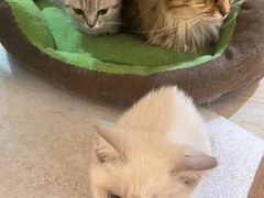 -觅时光手作·香薰·拼豆豆·陶艺DIY