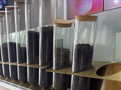 -雾与山茶(大禹城店)