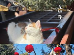 -龙华寺