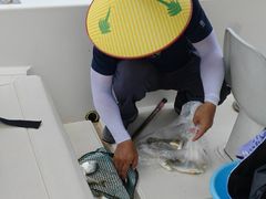 -鑫艋游艇海钓俱乐部