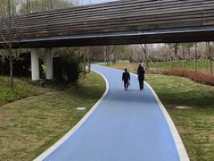 -昆山城市生态森林公园