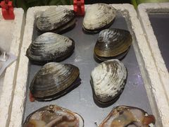 -蚝专家(北滘店)