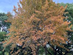 -福建鲤鱼洲酒店