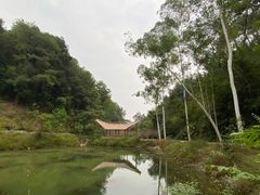 -三门江国家森林公园