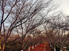 -凤凰沟景区
