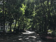 -上海徐汇瑞峰酒店