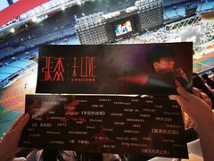 -南京奥林匹克体育中心-体育馆