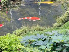 -罗红摄影艺术馆