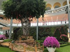 -南通洲际绿博园