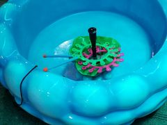 -南宫温泉水世界