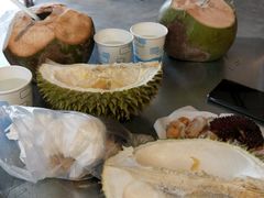 -都念榴莲·城市榴莲