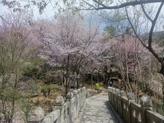 -崂山巨峰游览区