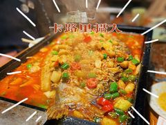 -金雨烧烤(新城南都店)
