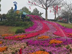 -东莞植物园