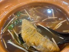 -大中鱼翅 Taitong Shark Fin