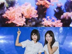 -南昌海洋公园