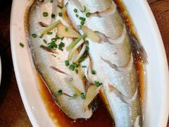 -老马家·舌尖上的西塘美食