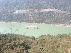 -铁山坪森林公园