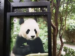 -成都动物园