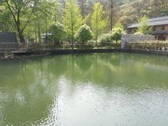 -木兰云雾山