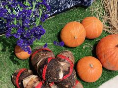 -老阿爸江浙土菜(奥体中心店)