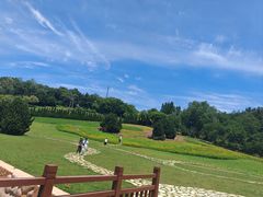 -棒棰岛宾馆景区