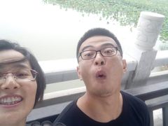 -泗洪洪泽湖湿地景区