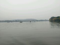 -西湖外事游船(花港观鱼码头)