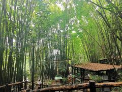 -竹海听涛生态山庄