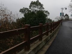 -杭州半山国家森林公园