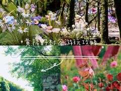 -黄陂区野村谷景区