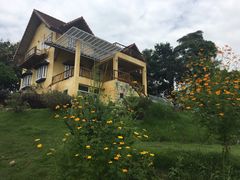 -黄色小屋