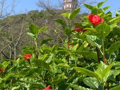 -顺峰山公园